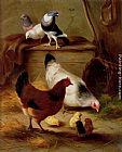 Edgar Hunt Canvas Paintings - Pigeons And Chickens
